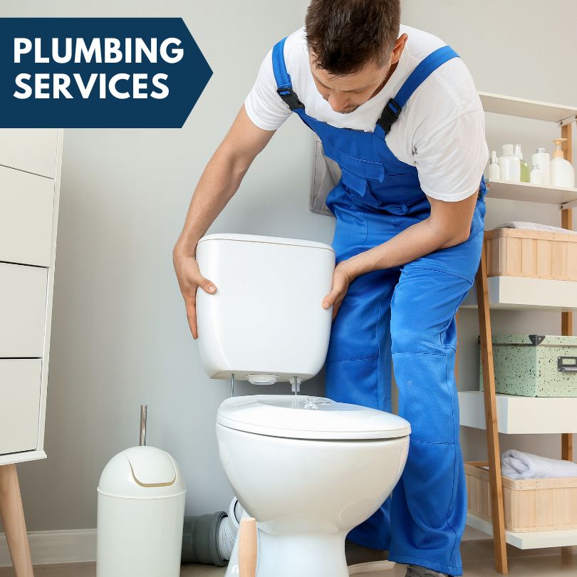 Plumbing Company in Ovid, MI