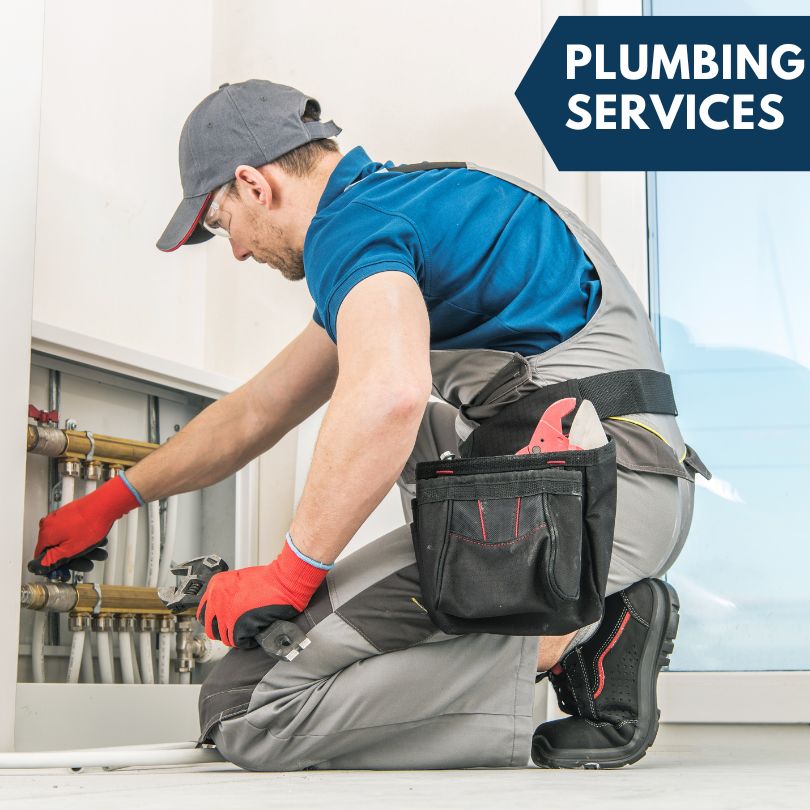 Ovid Plumbing Company